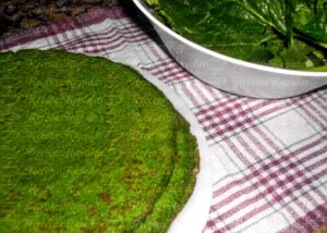 Tortitas de Espinaca con Avena
